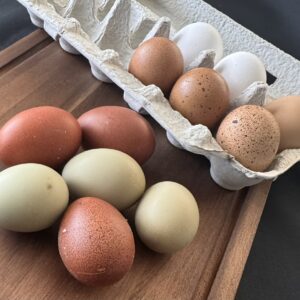 Farm Fresh Eggs - 1 Dozen